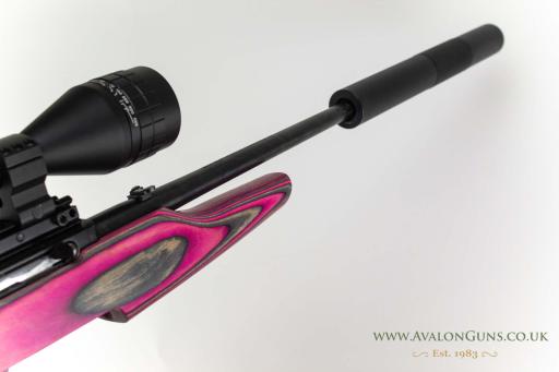 Firearm: Ruger 10-22 Carbine