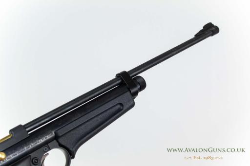 Firearm: Crosman 2250 B