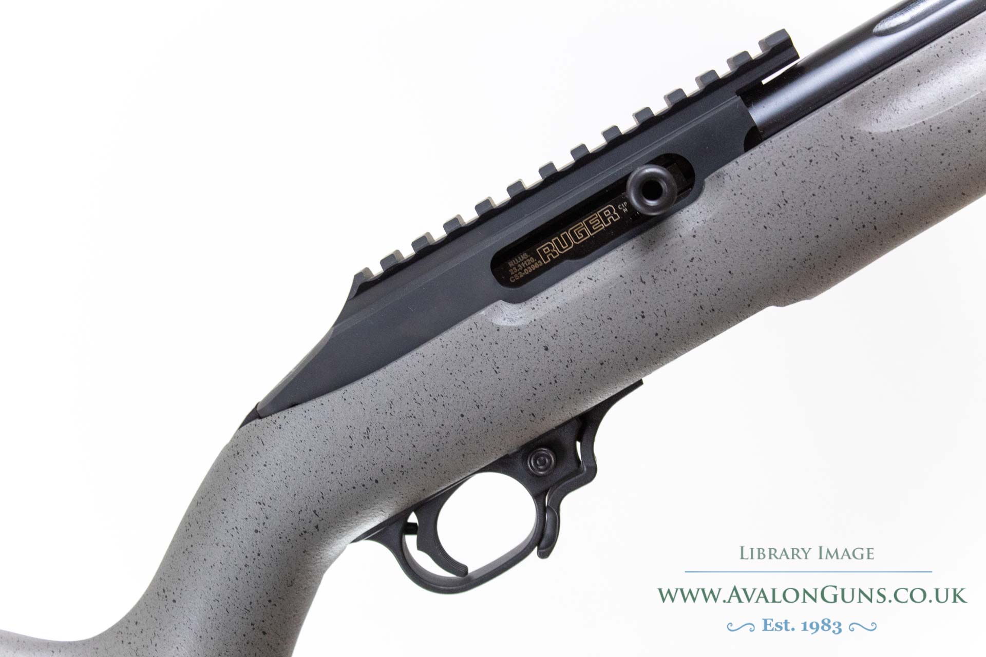 Ruger 10-22