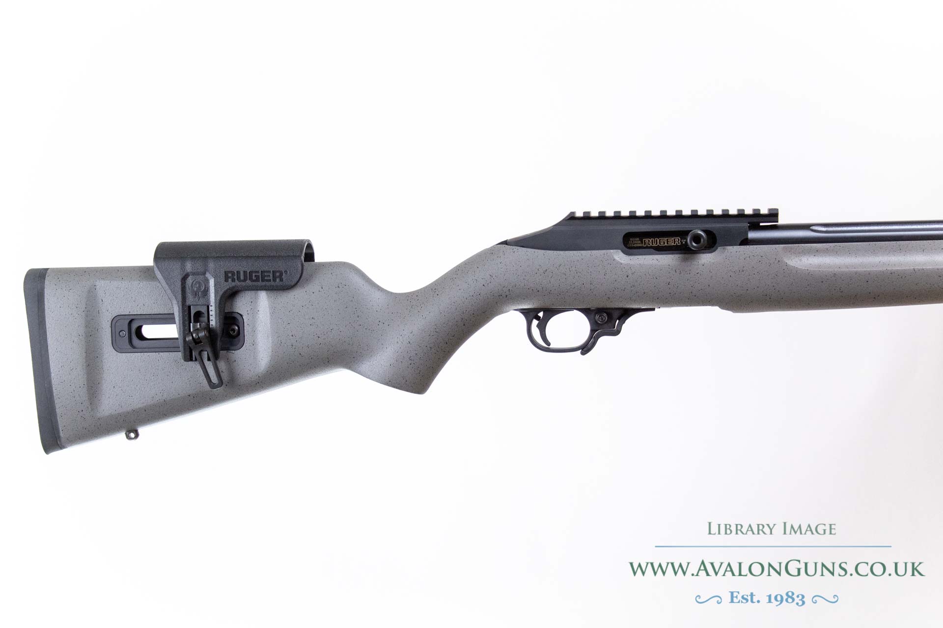 Ruger 10-22