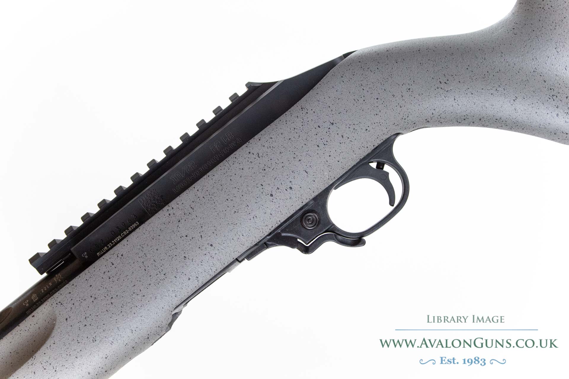 Ruger 10-22