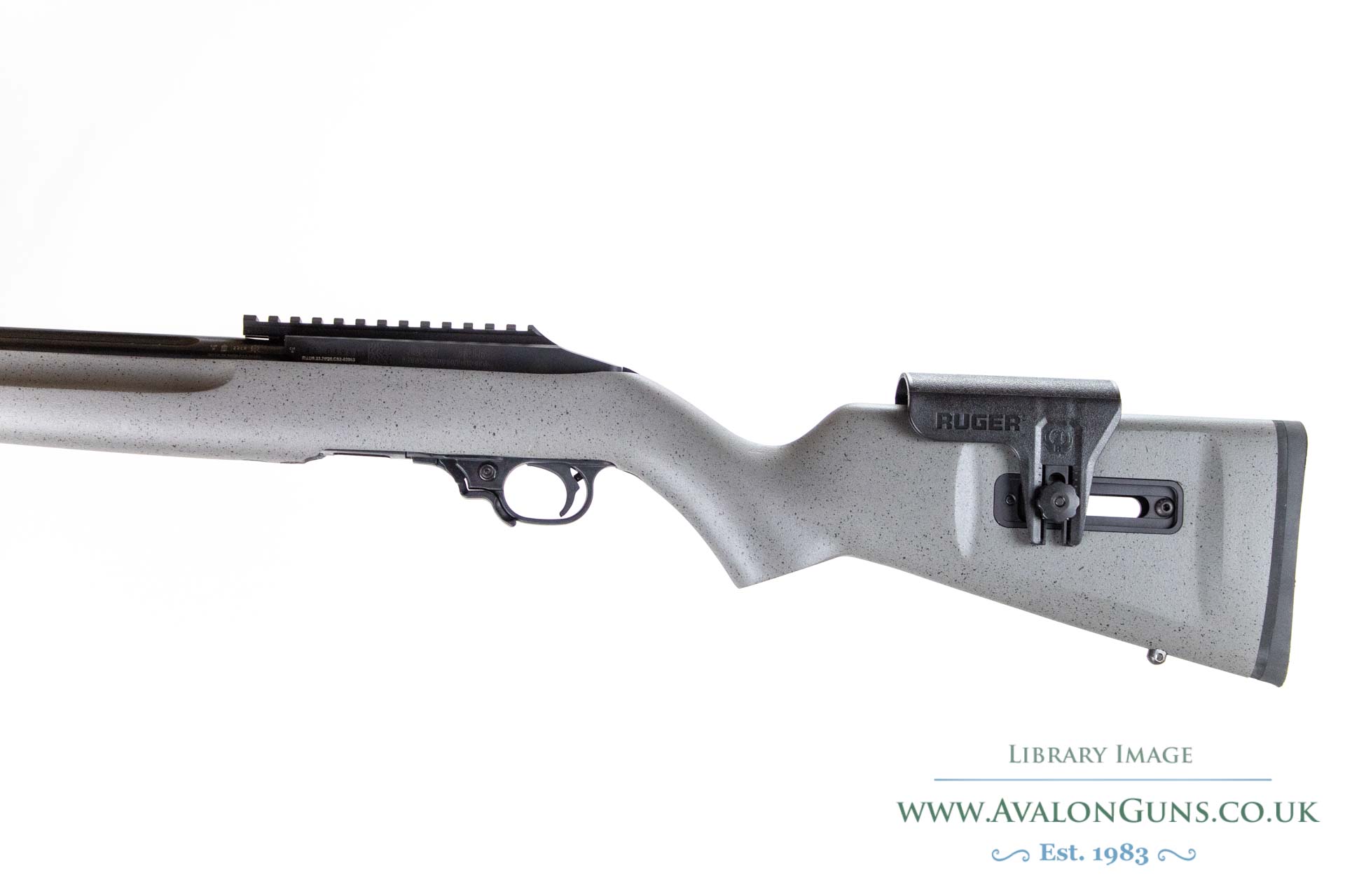 Ruger 10-22