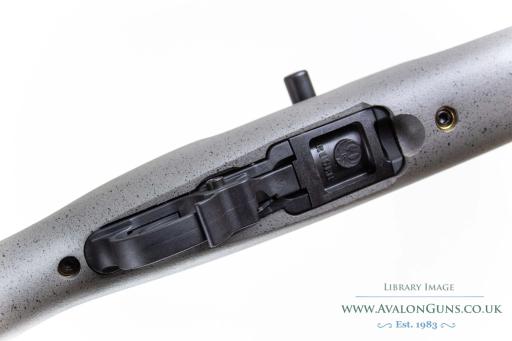 Firearm: Ruger 10-22 Custom Competition