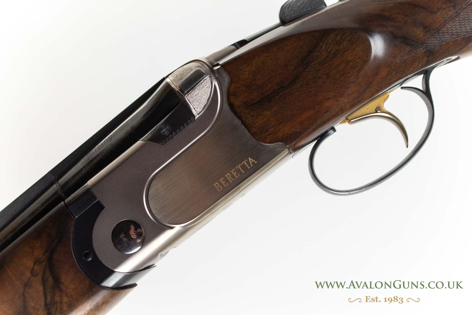 Beretta DT10