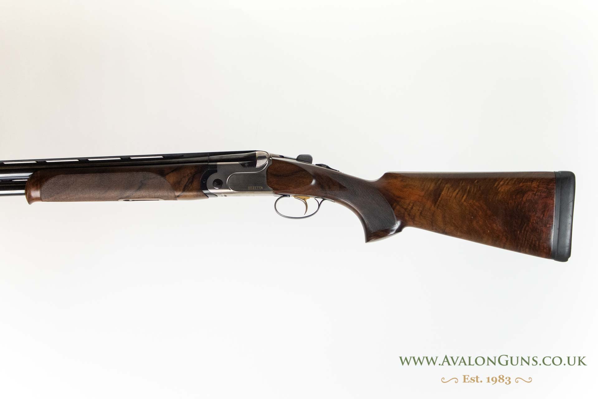 Beretta DT10