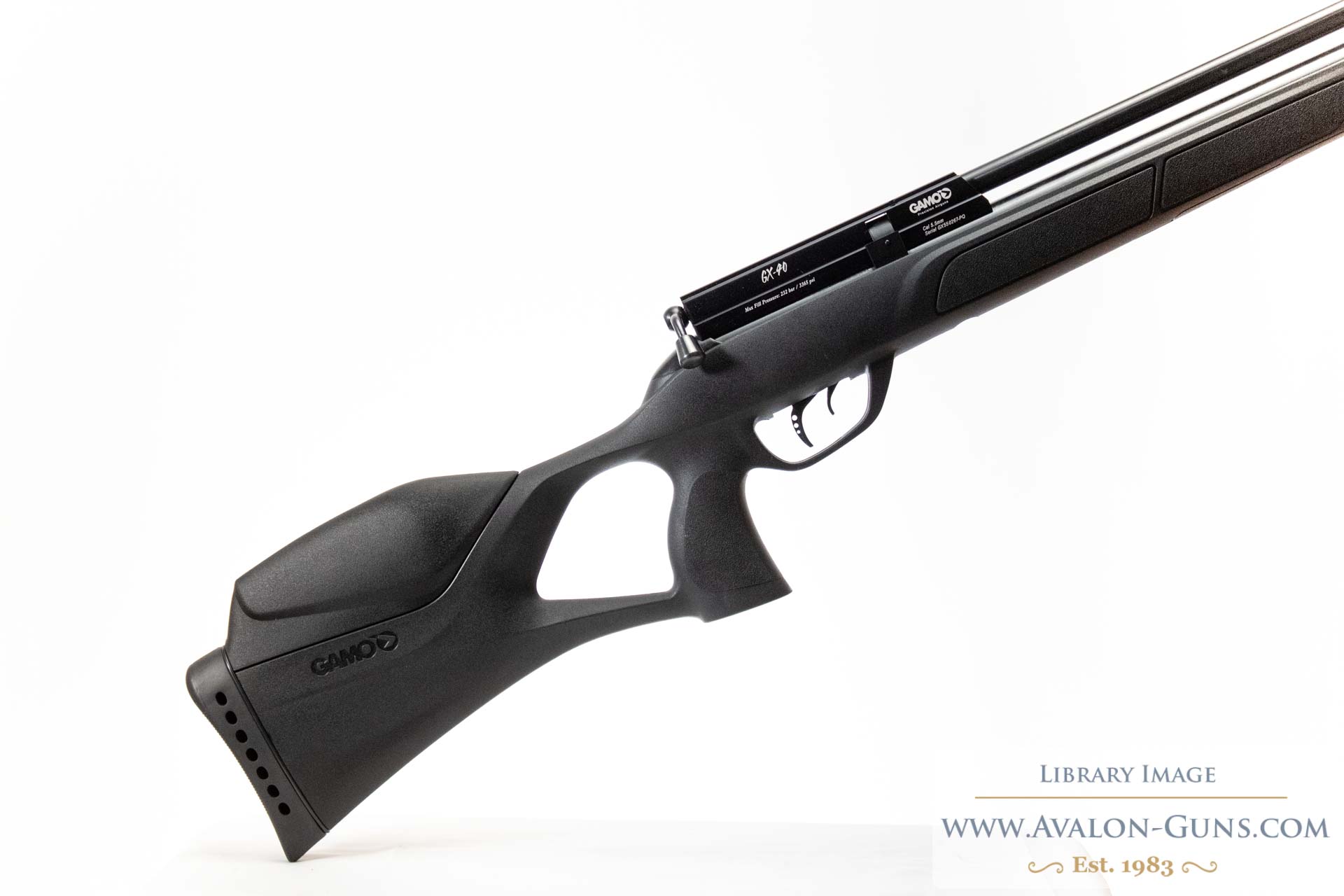 Gamo GX