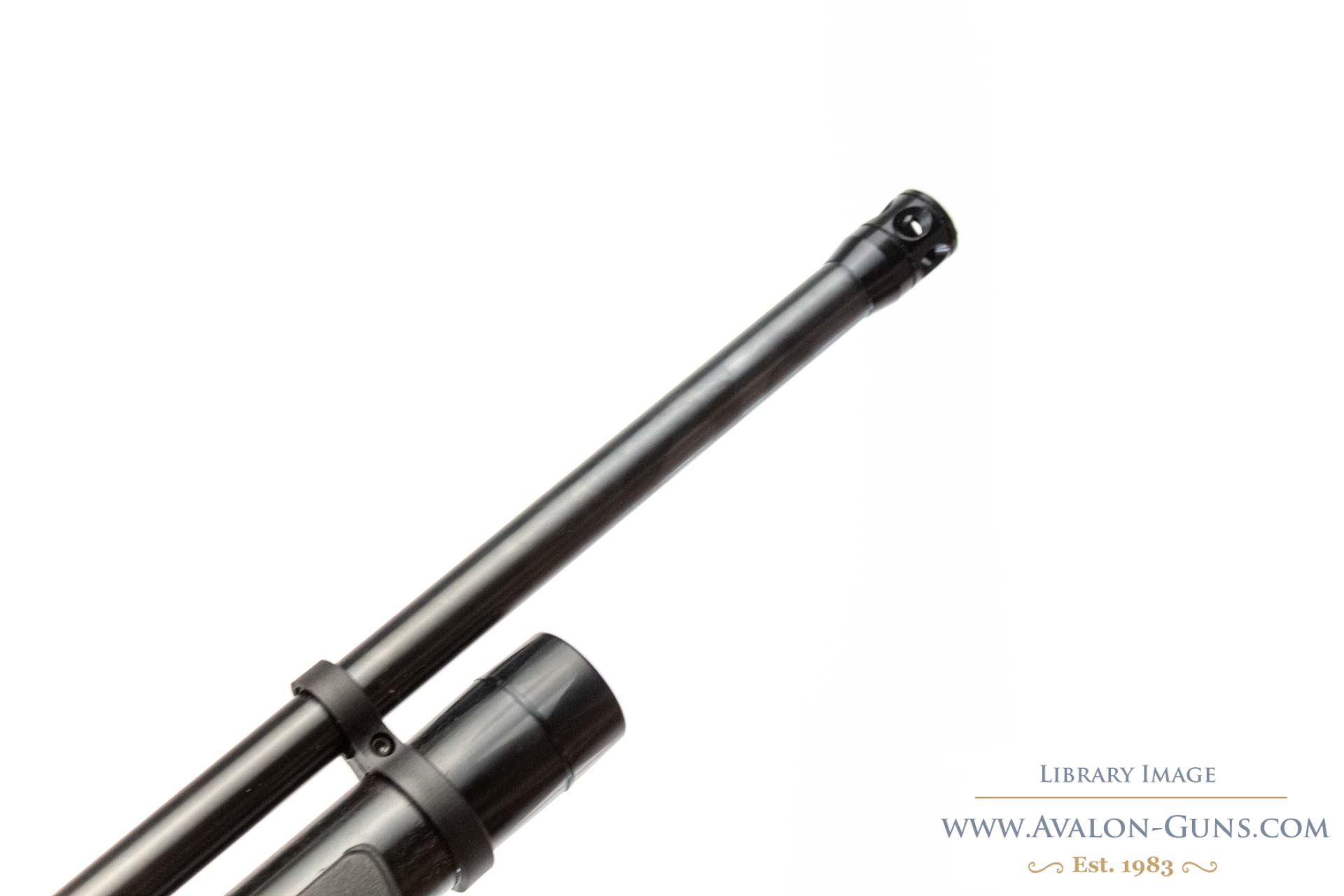 Gamo GX
