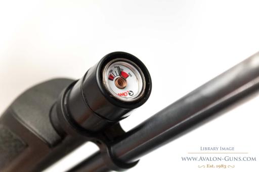 Firearm: Gamo GX 250