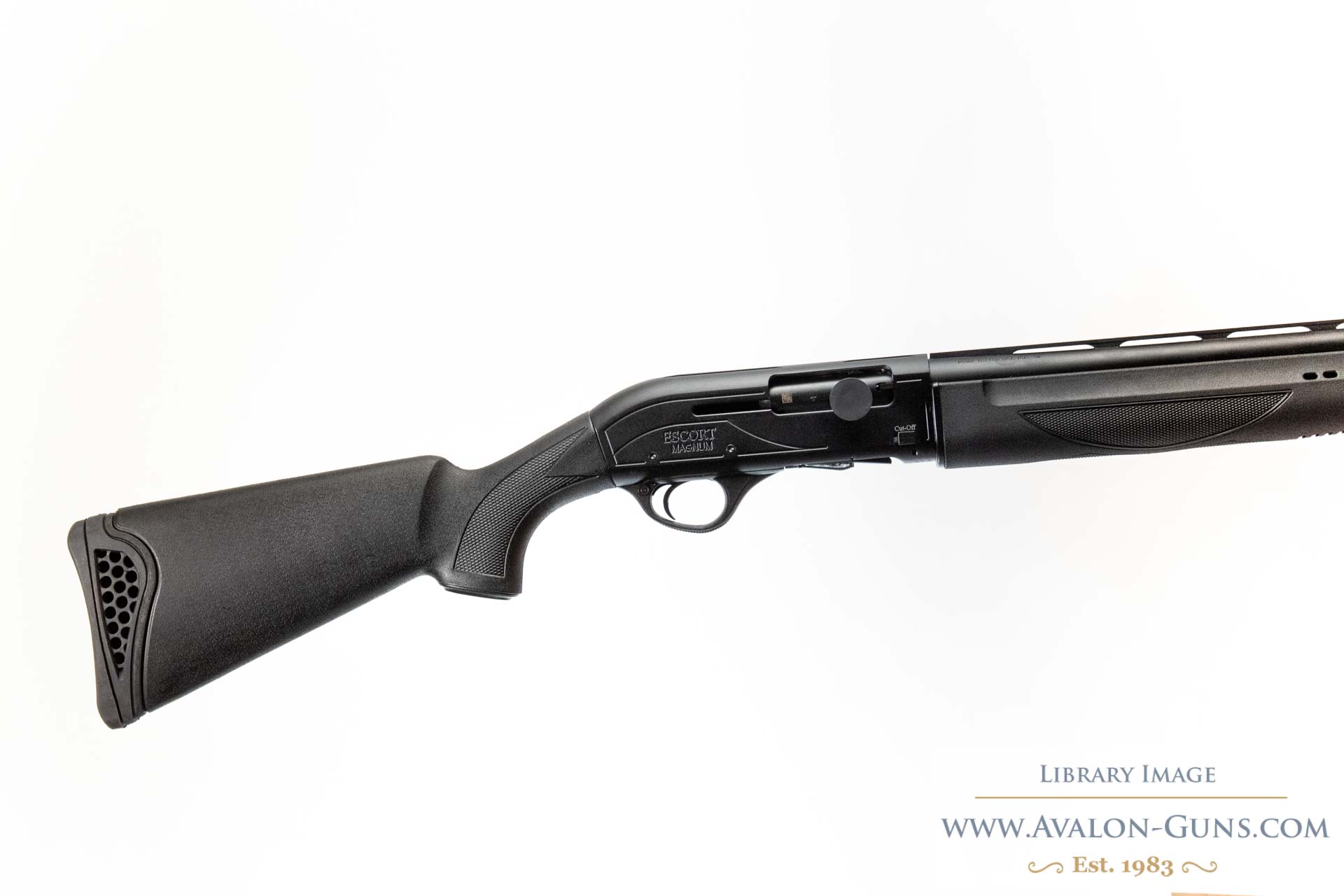 Hatsan Arms Escort