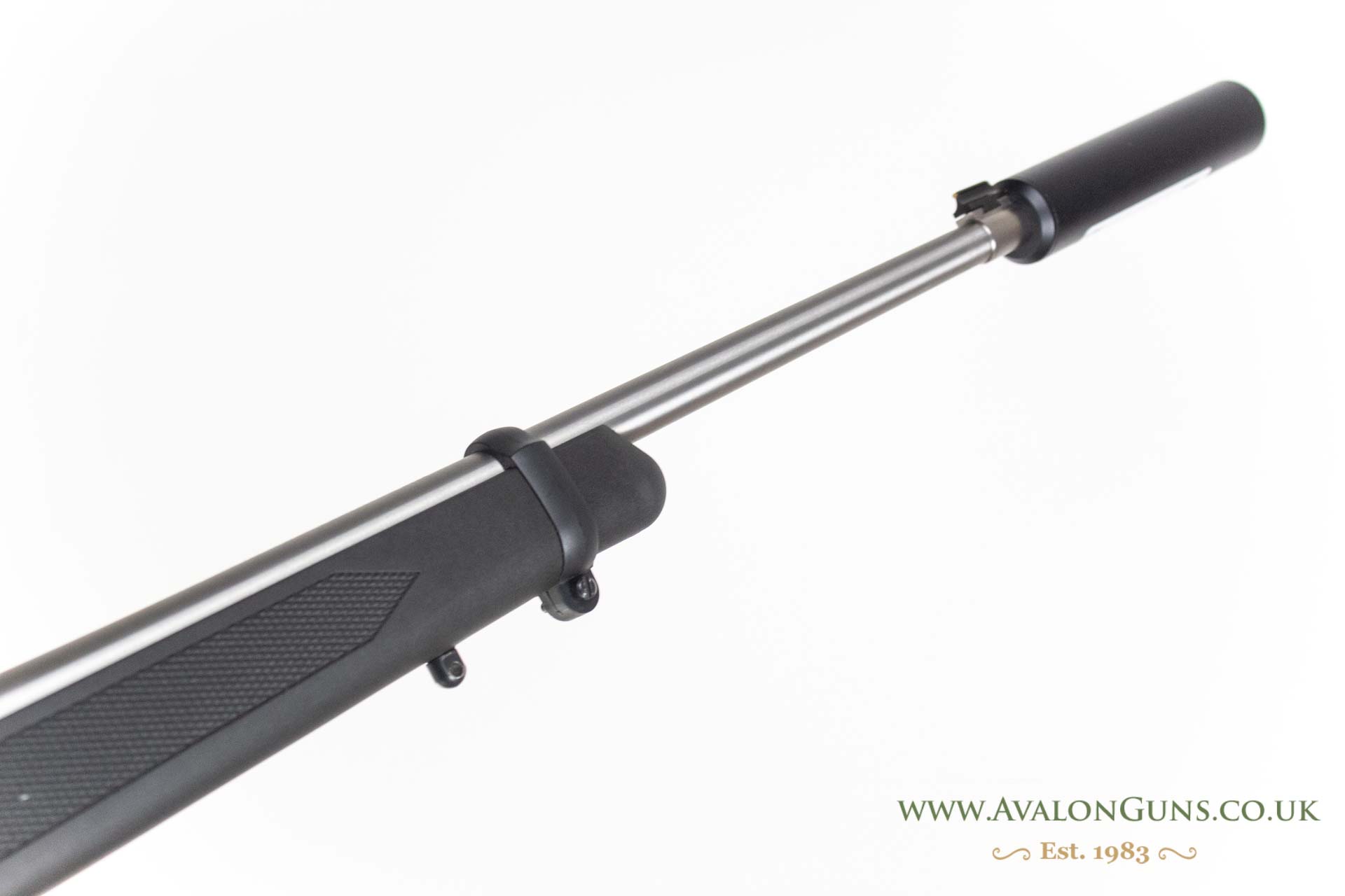 Ruger 10-22