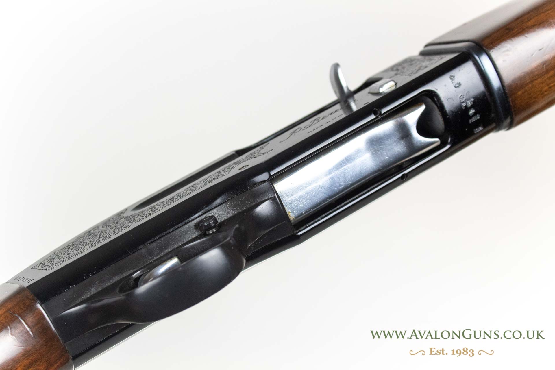 Beretta A301