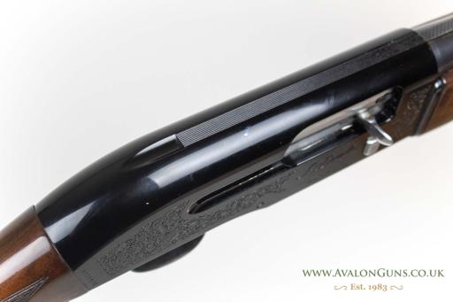 Firearm: Beretta A301 