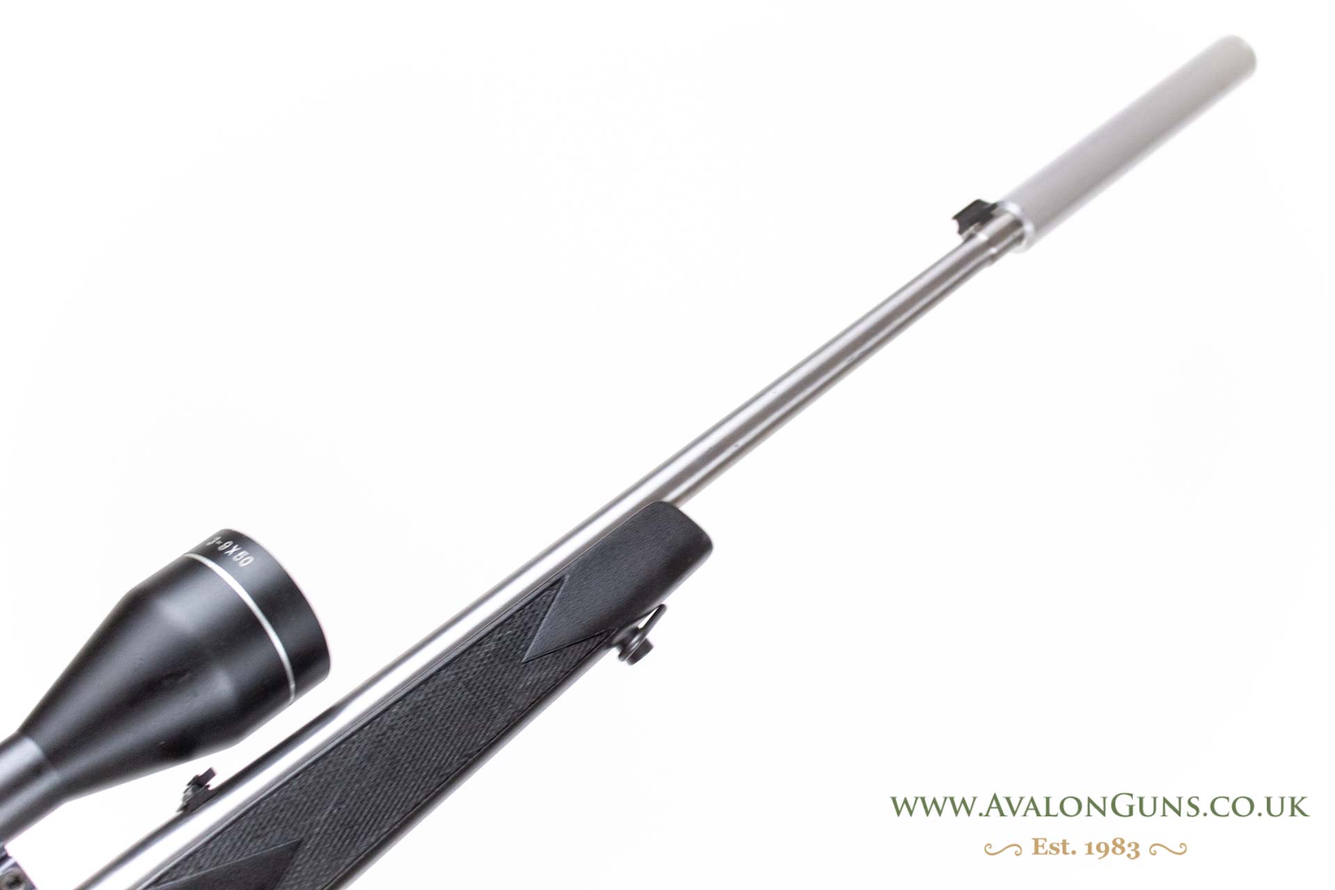 Ruger 10-22