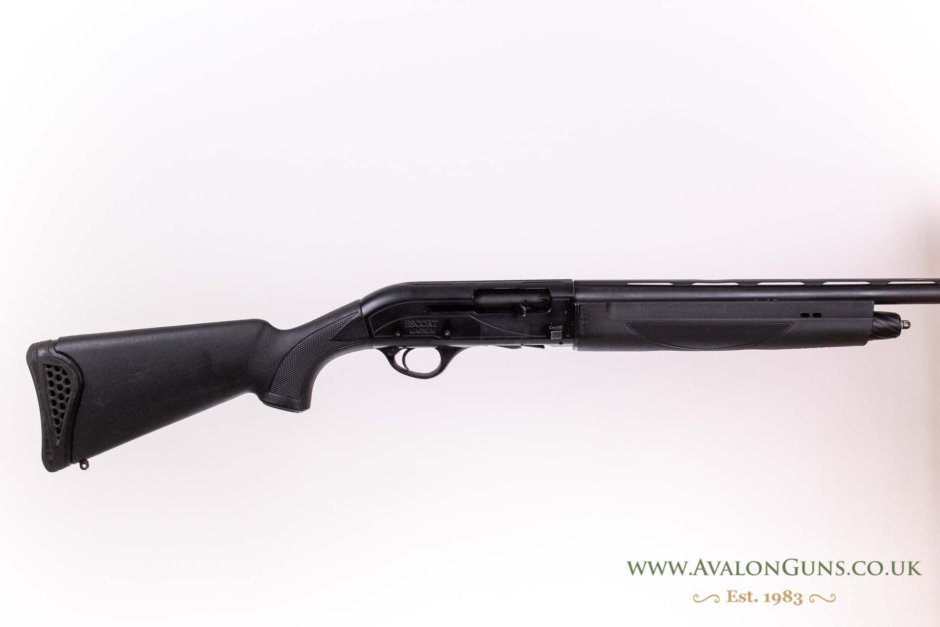 Hatsan Arms Escort
