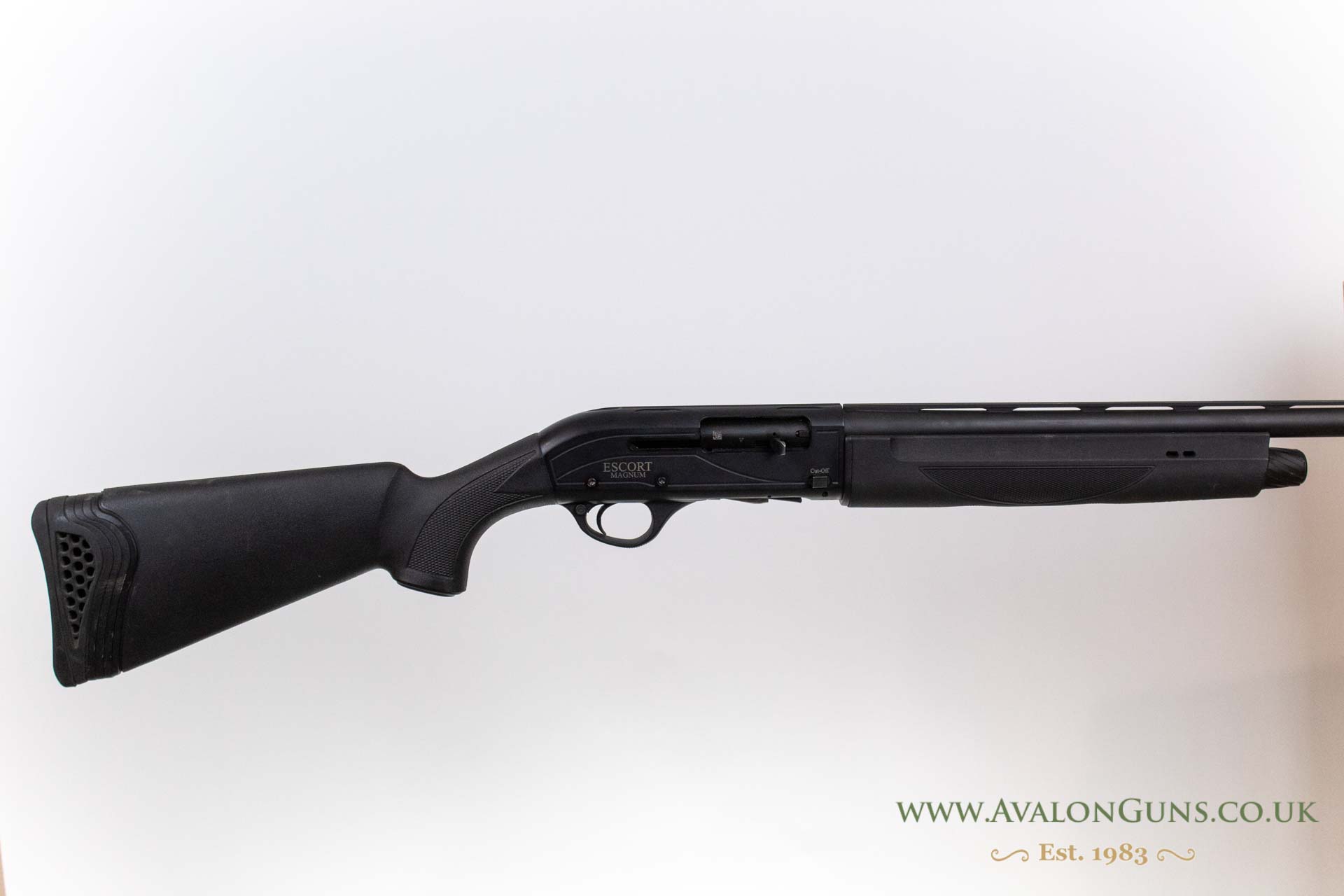 Hatsan Arms Escort
