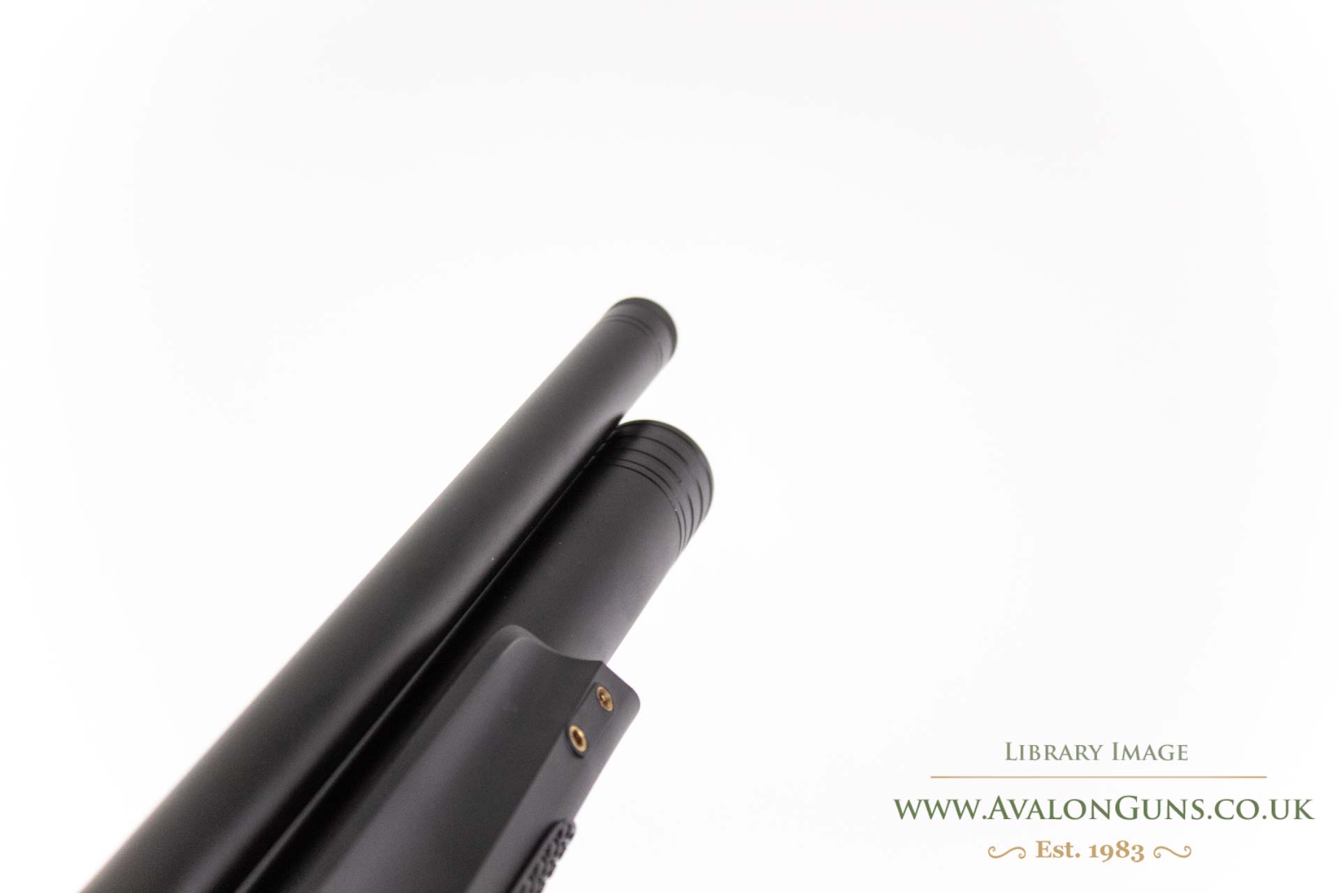 Stoeger XM1