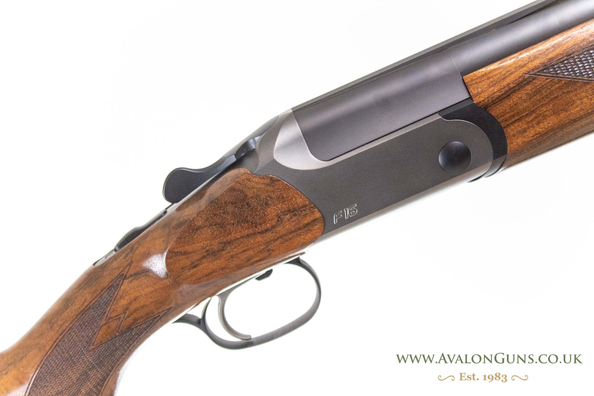Blaser F16