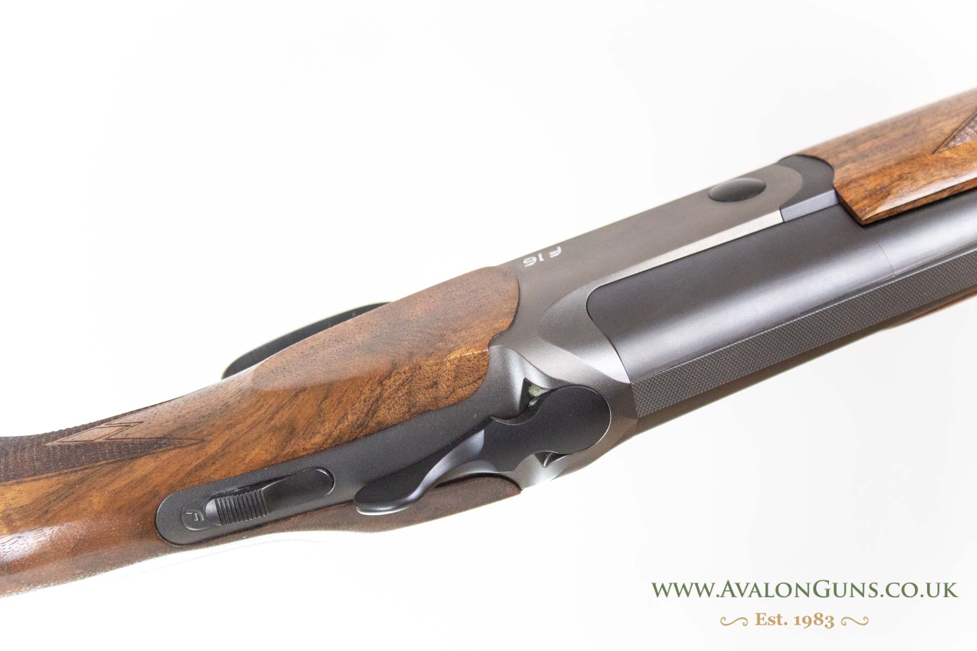 Blaser F16