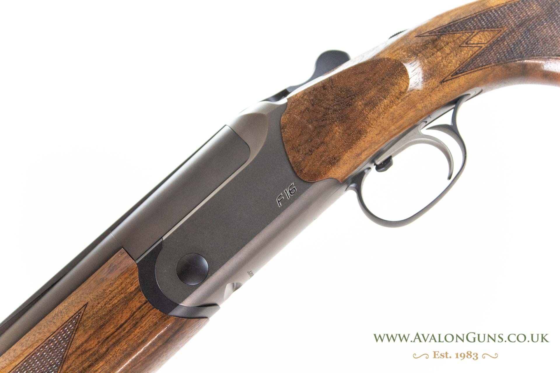 Blaser F16