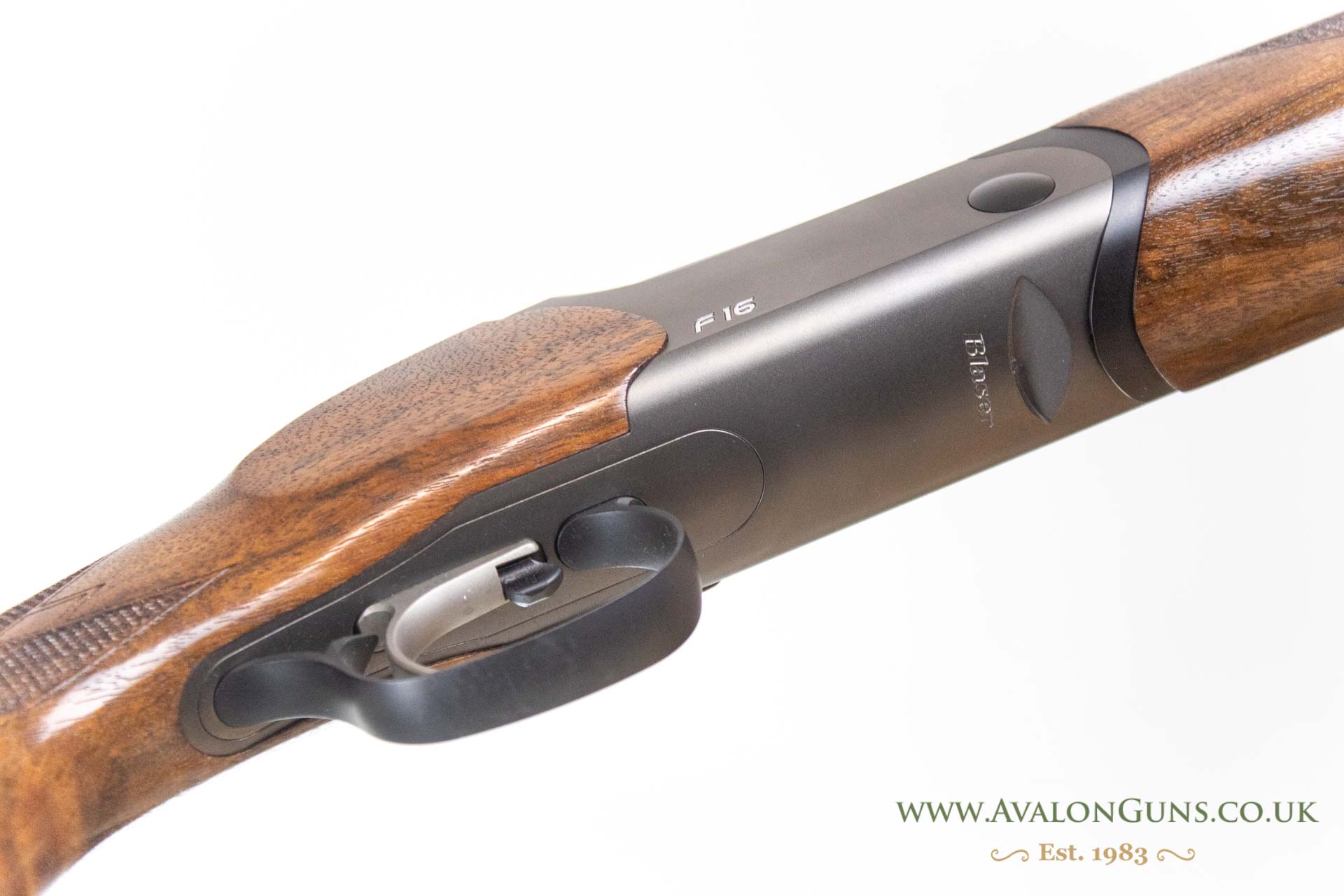 Blaser F16
