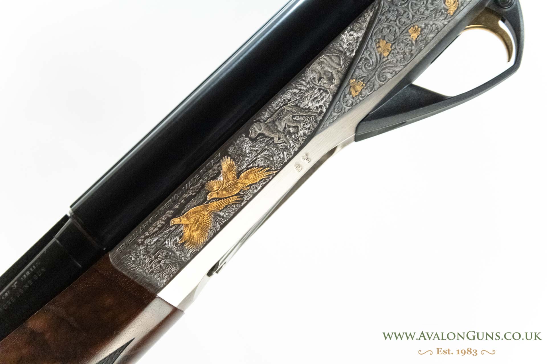 Benelli Raffaello