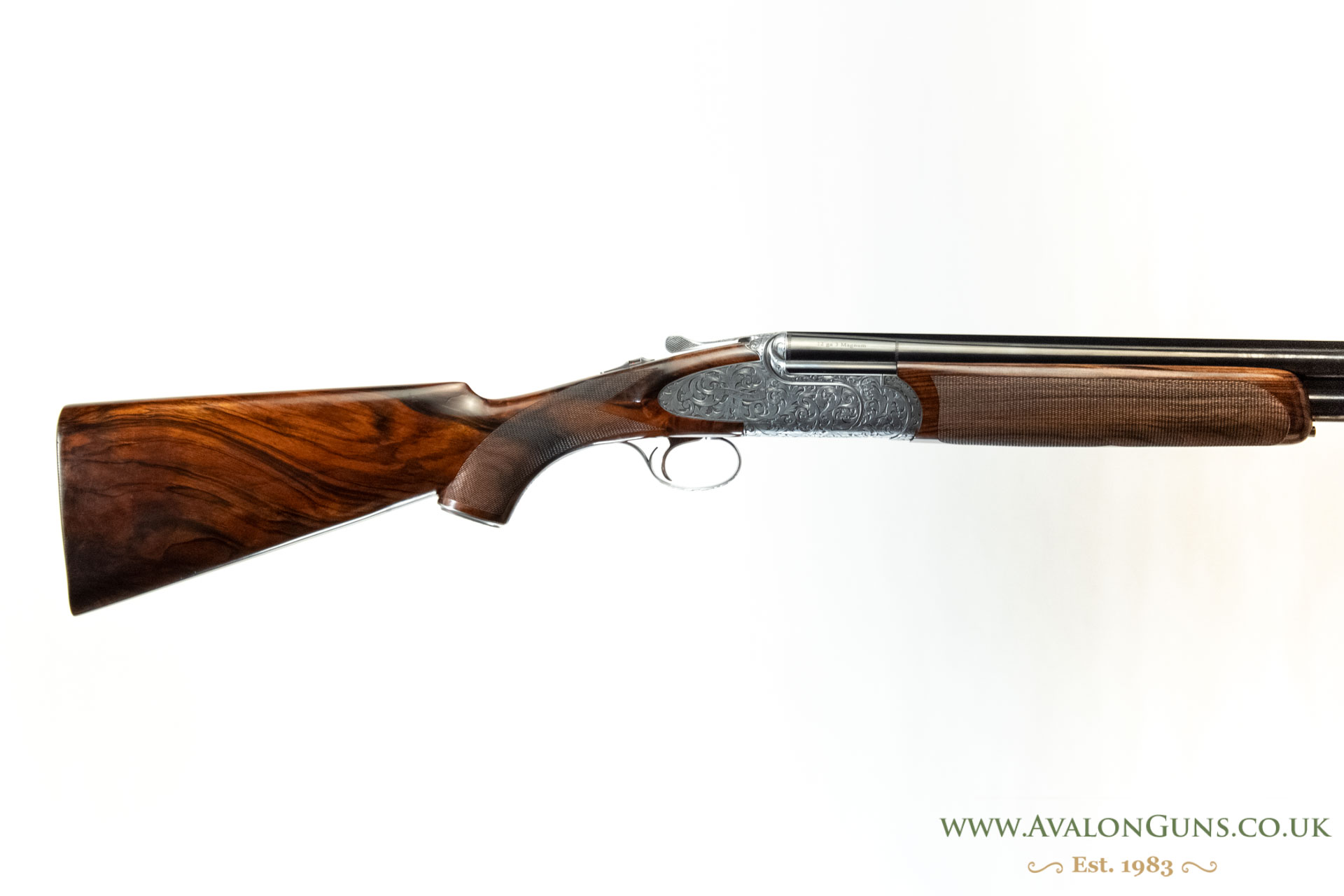 Rizzini Regal