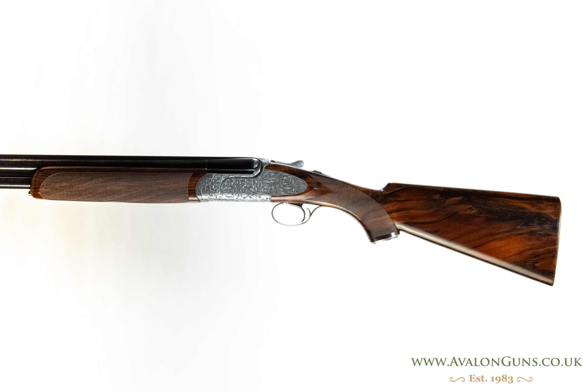 Rizzini Regal