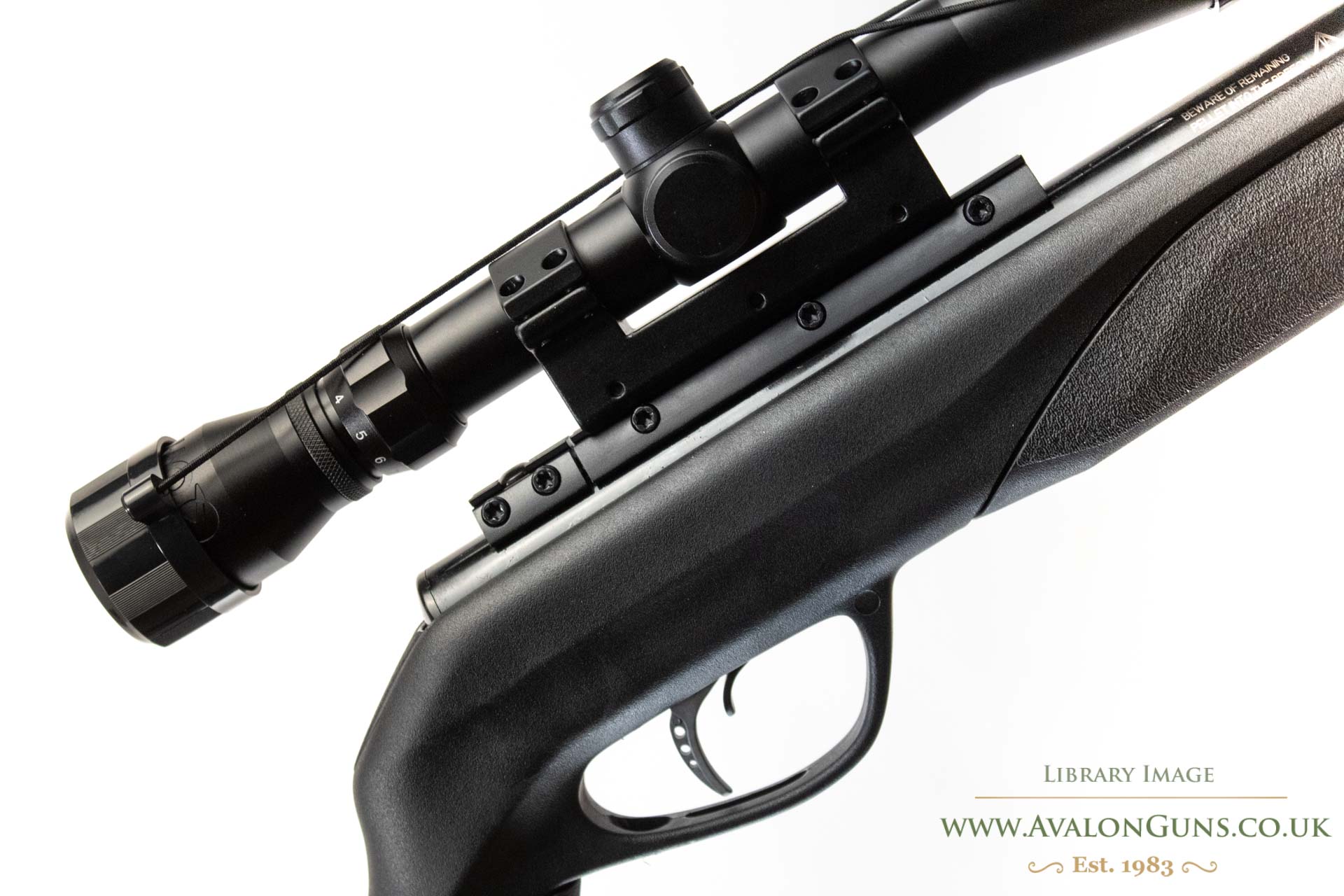 Gamo Swarm