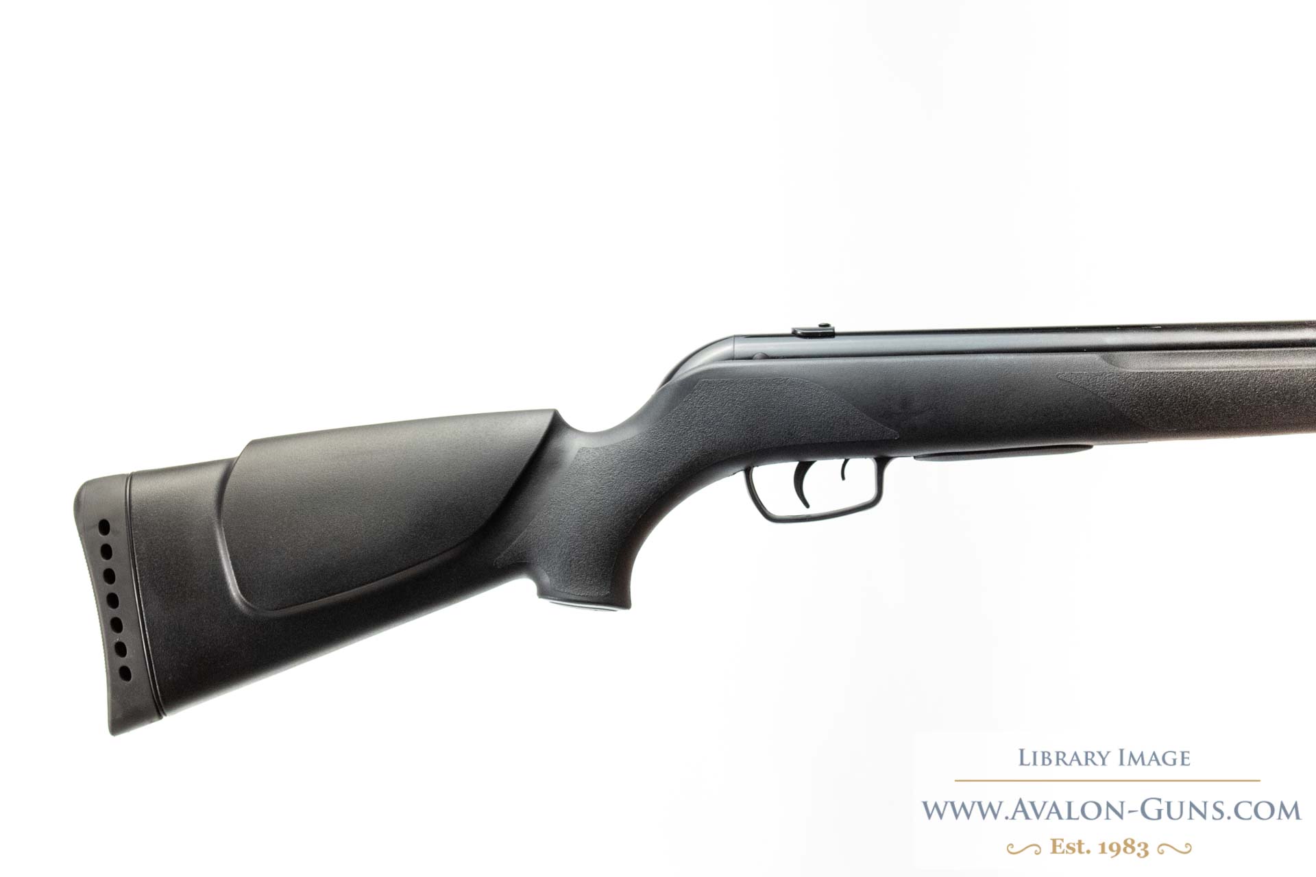 Gamo Whisper