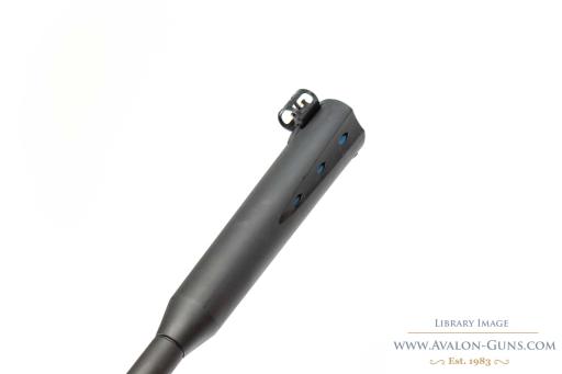 Firearm: Gamo Whisper Sting