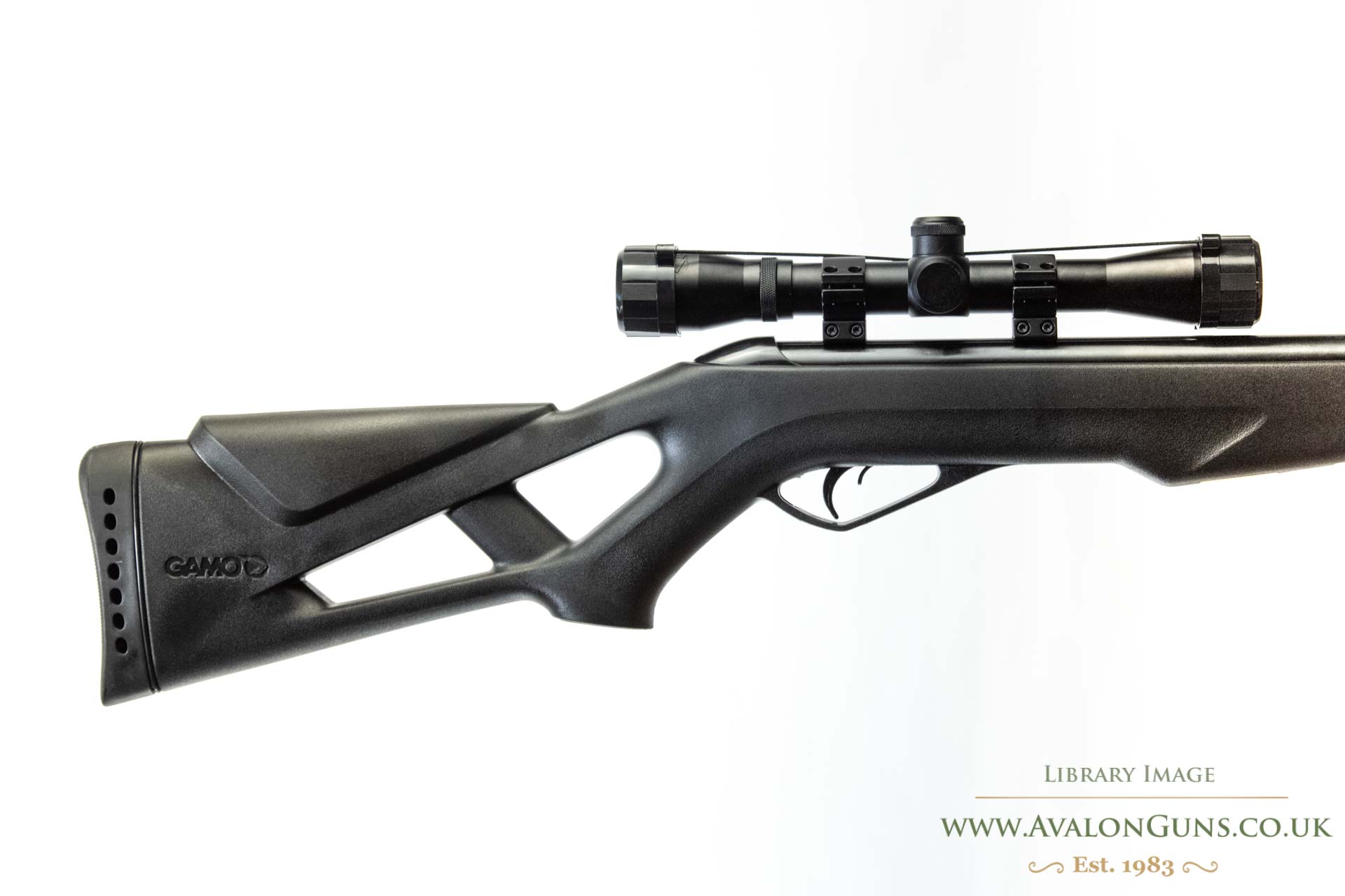 Gamo Whisper