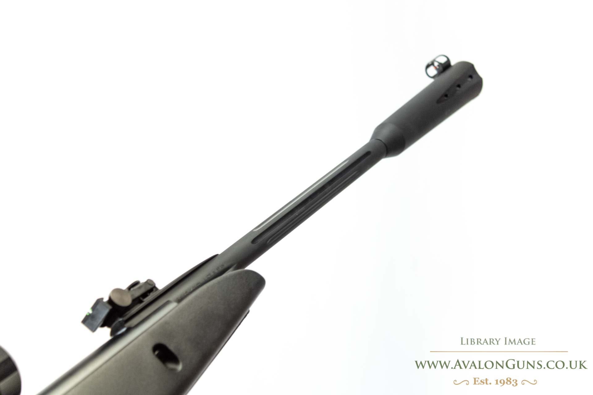Gamo Whisper