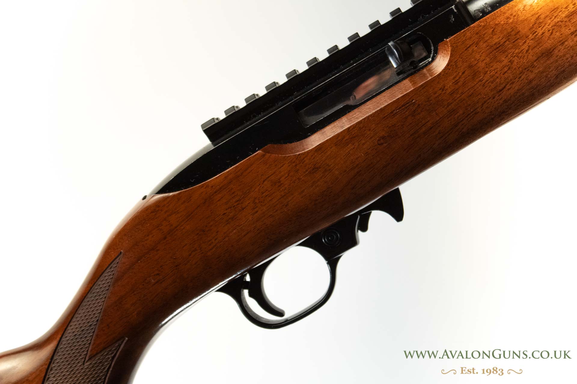 Ruger 10-22