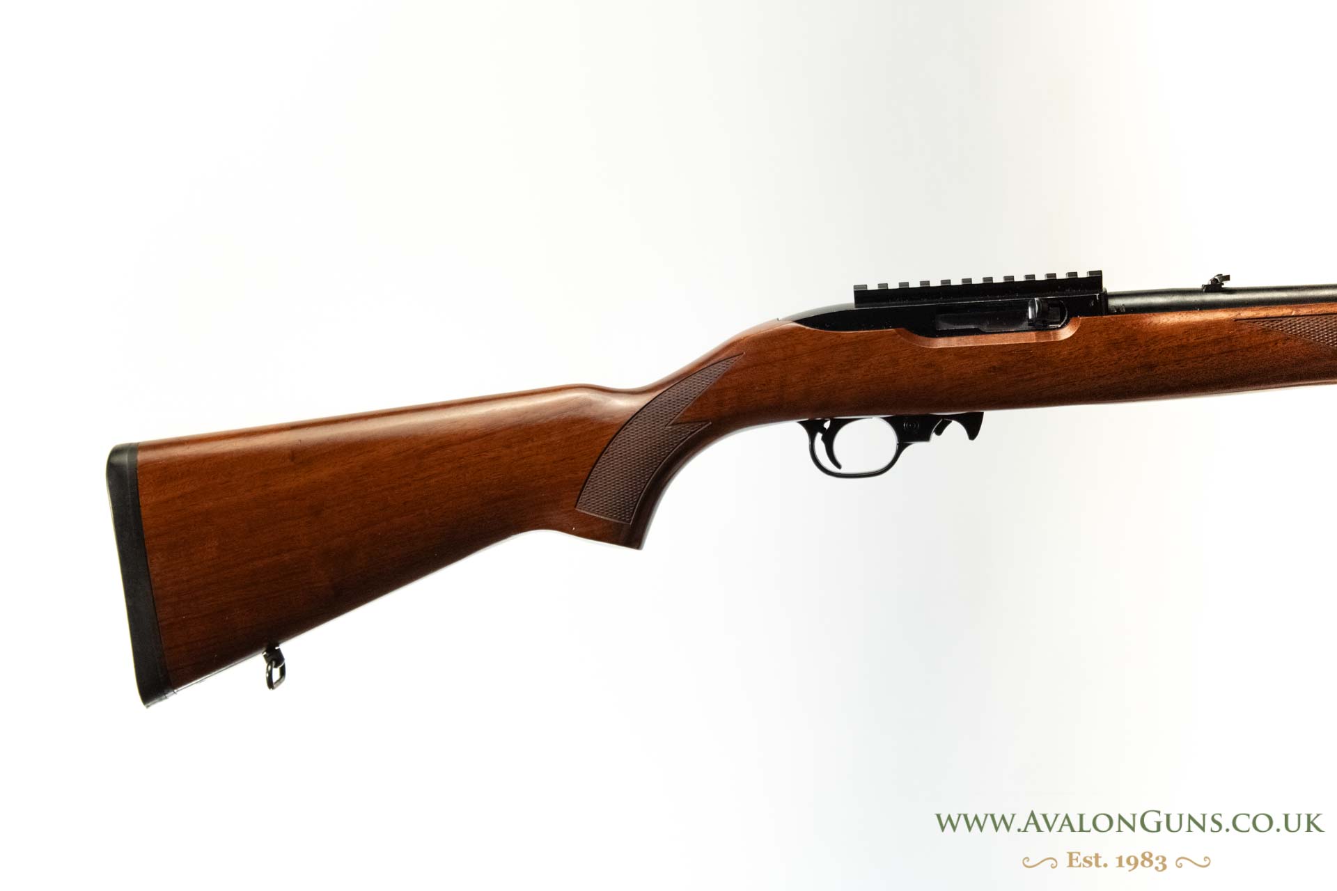 Ruger 10-22