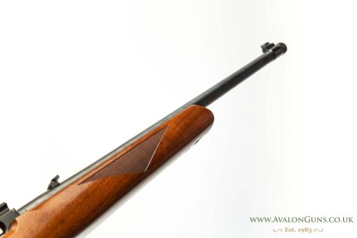 Firearm: Ruger 10-22 