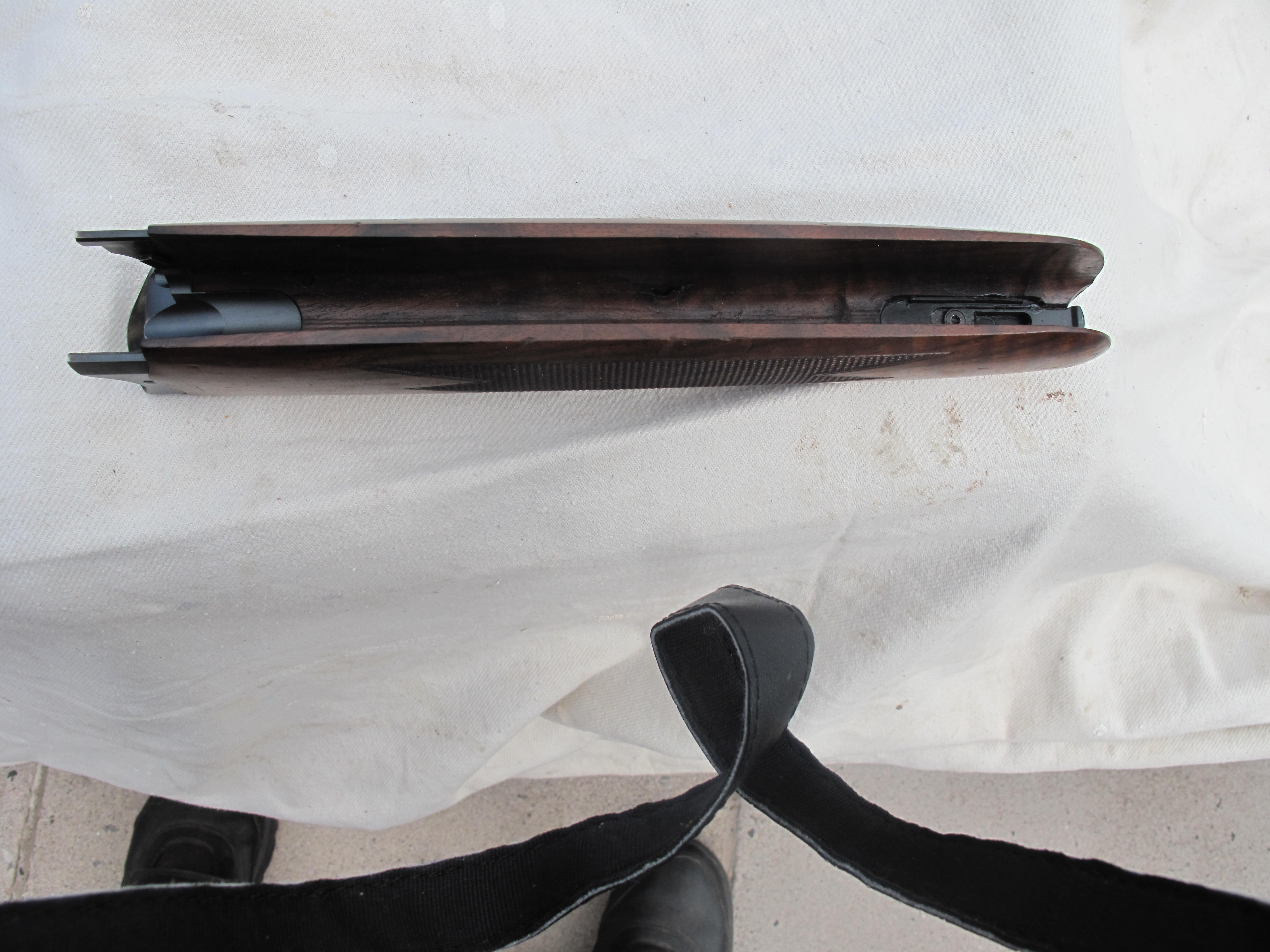 Blaser F3