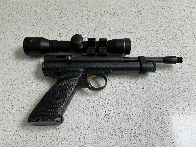 Firearm: Crosman Rat Buster 2240 