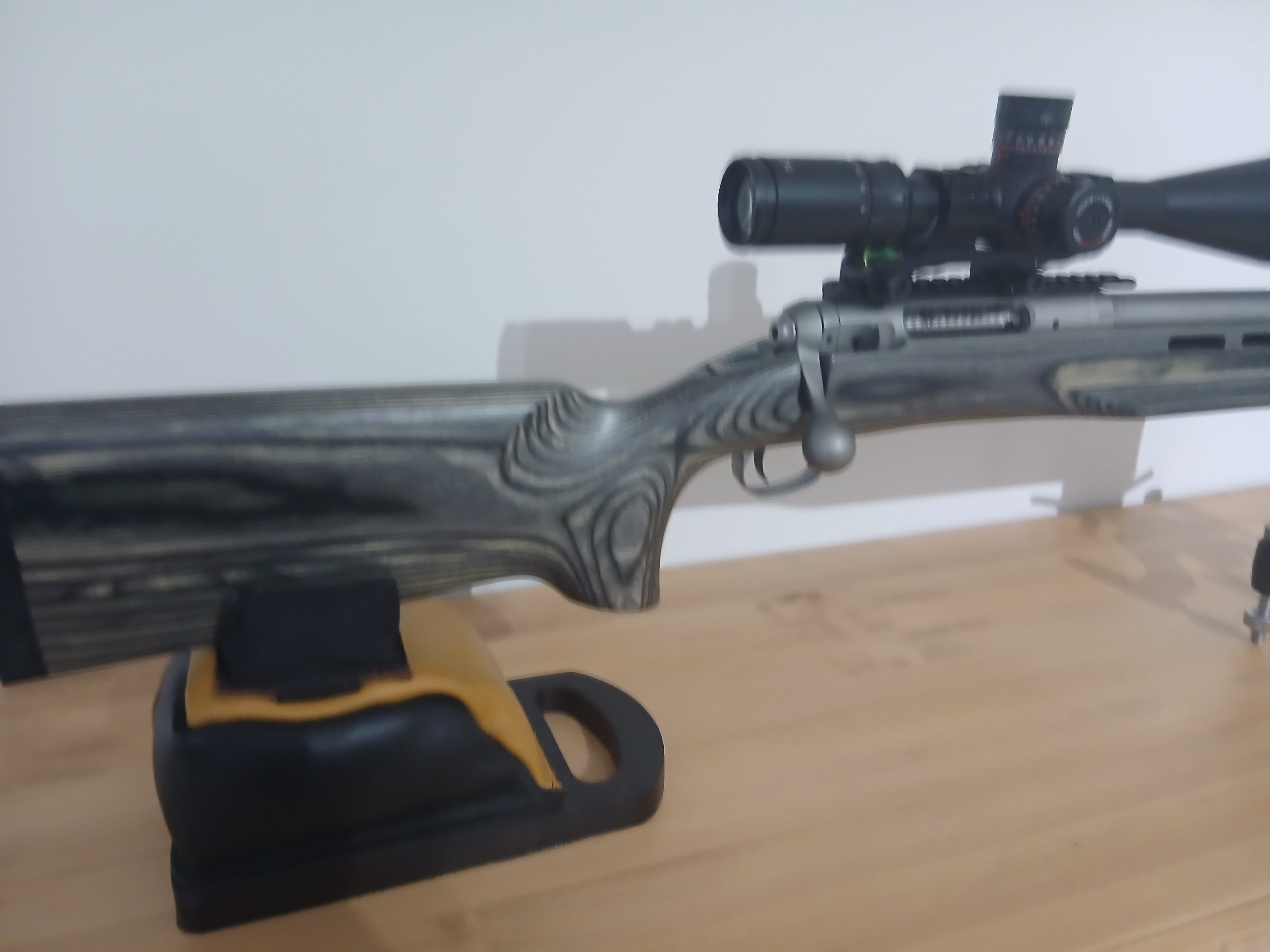 Savage Arms 12