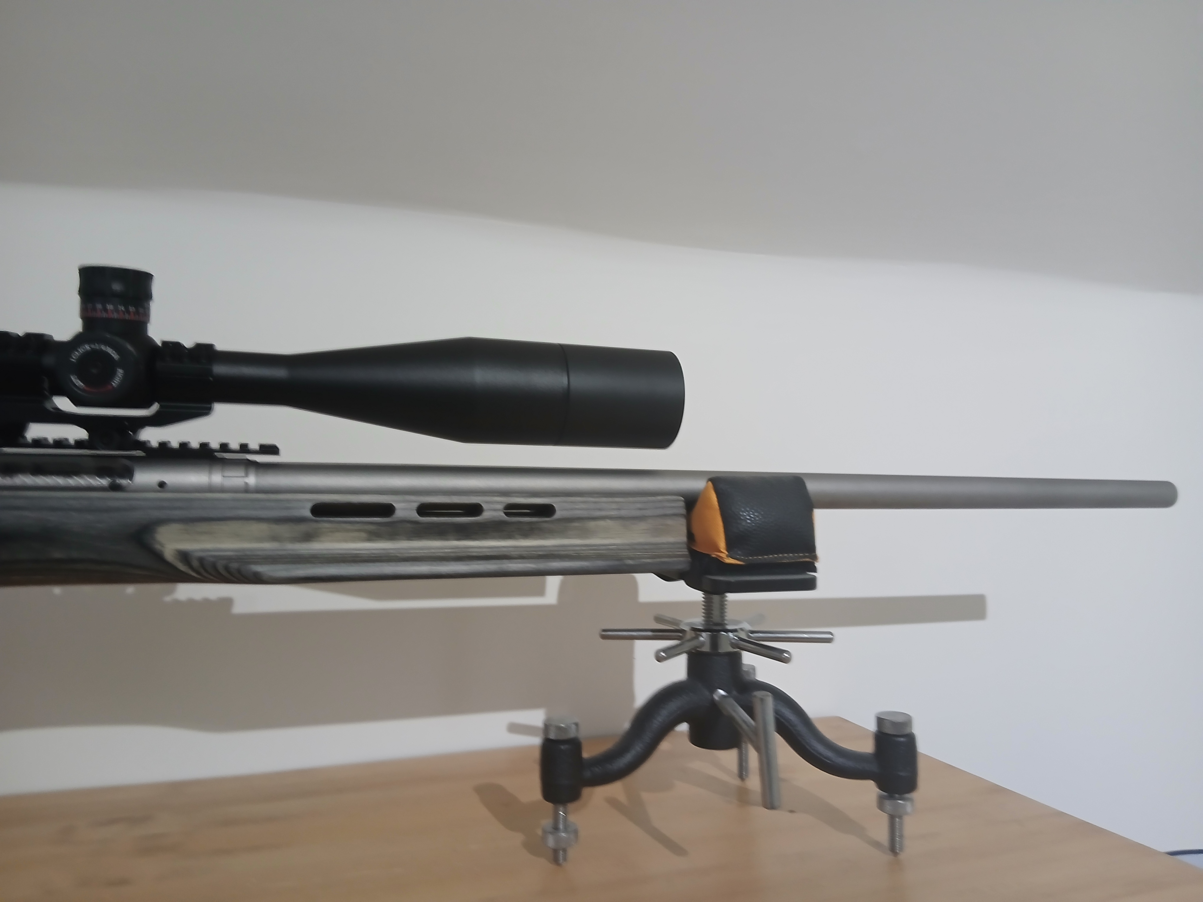 Savage Arms 12