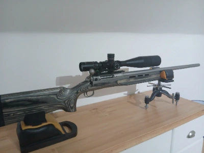 Firearm: Savage Arms 12 