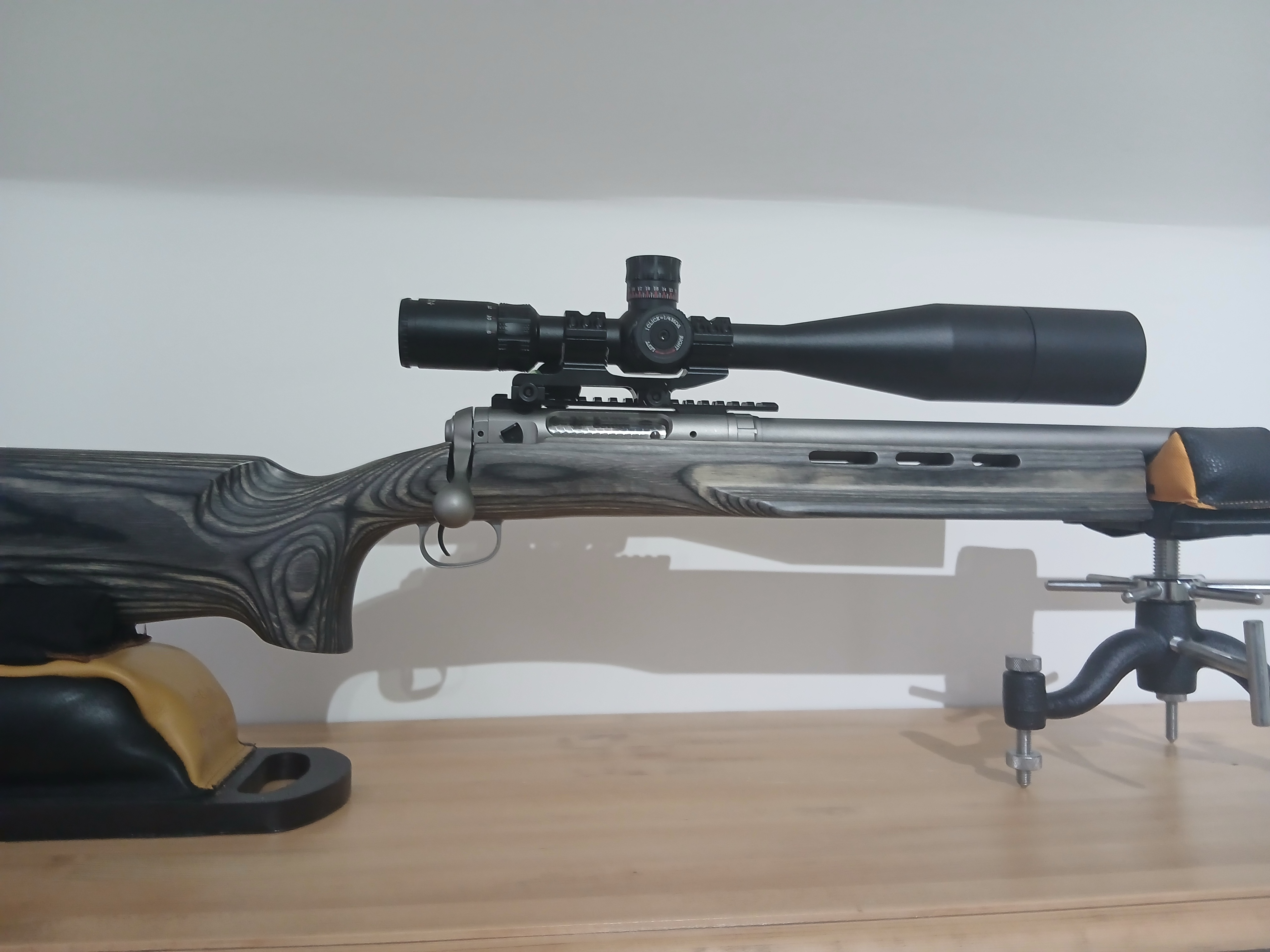 Savage Arms 12
