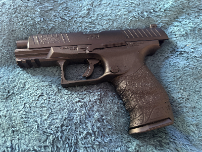 Firearm: Daystate Red Wolf