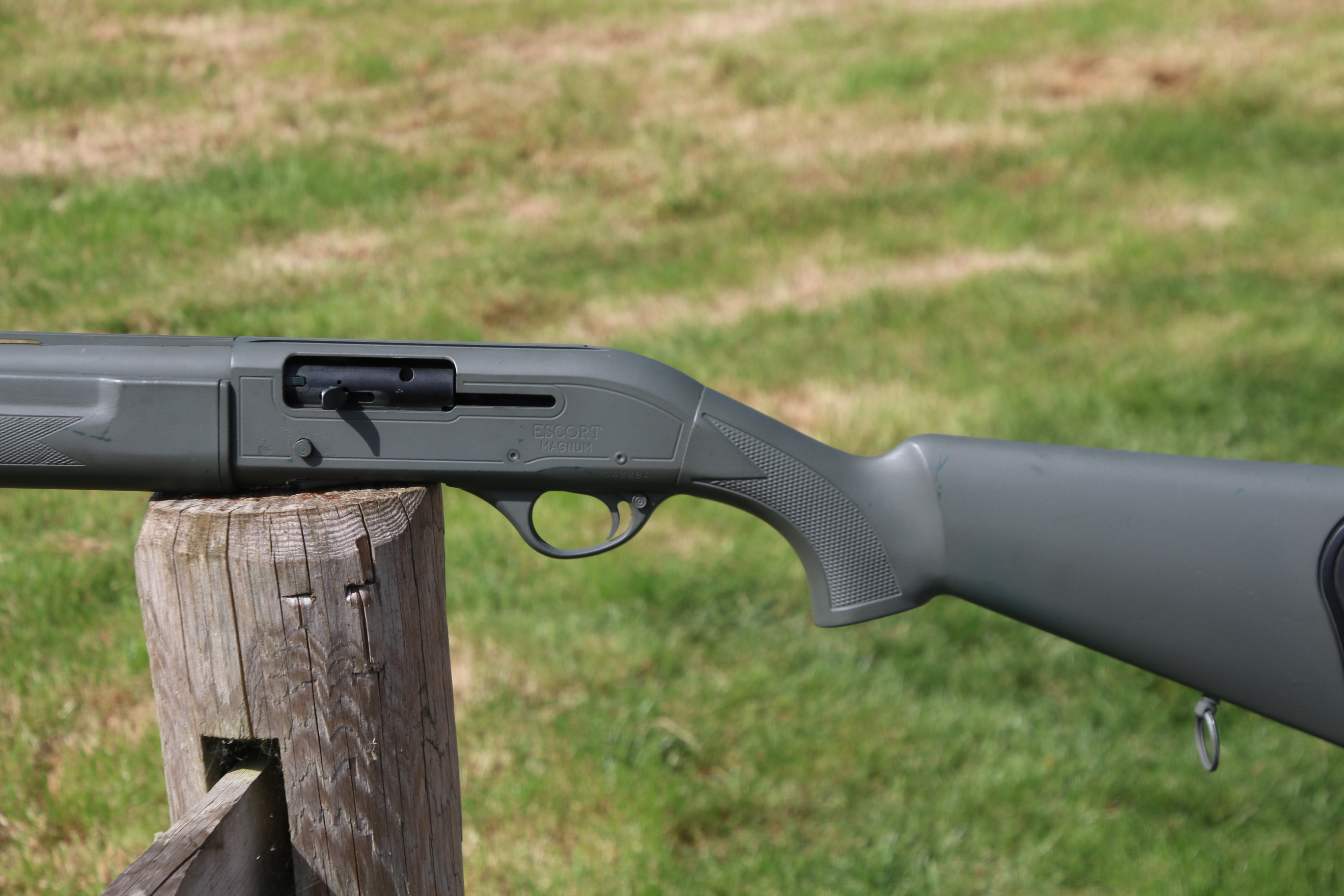 Hatsan Arms Escort