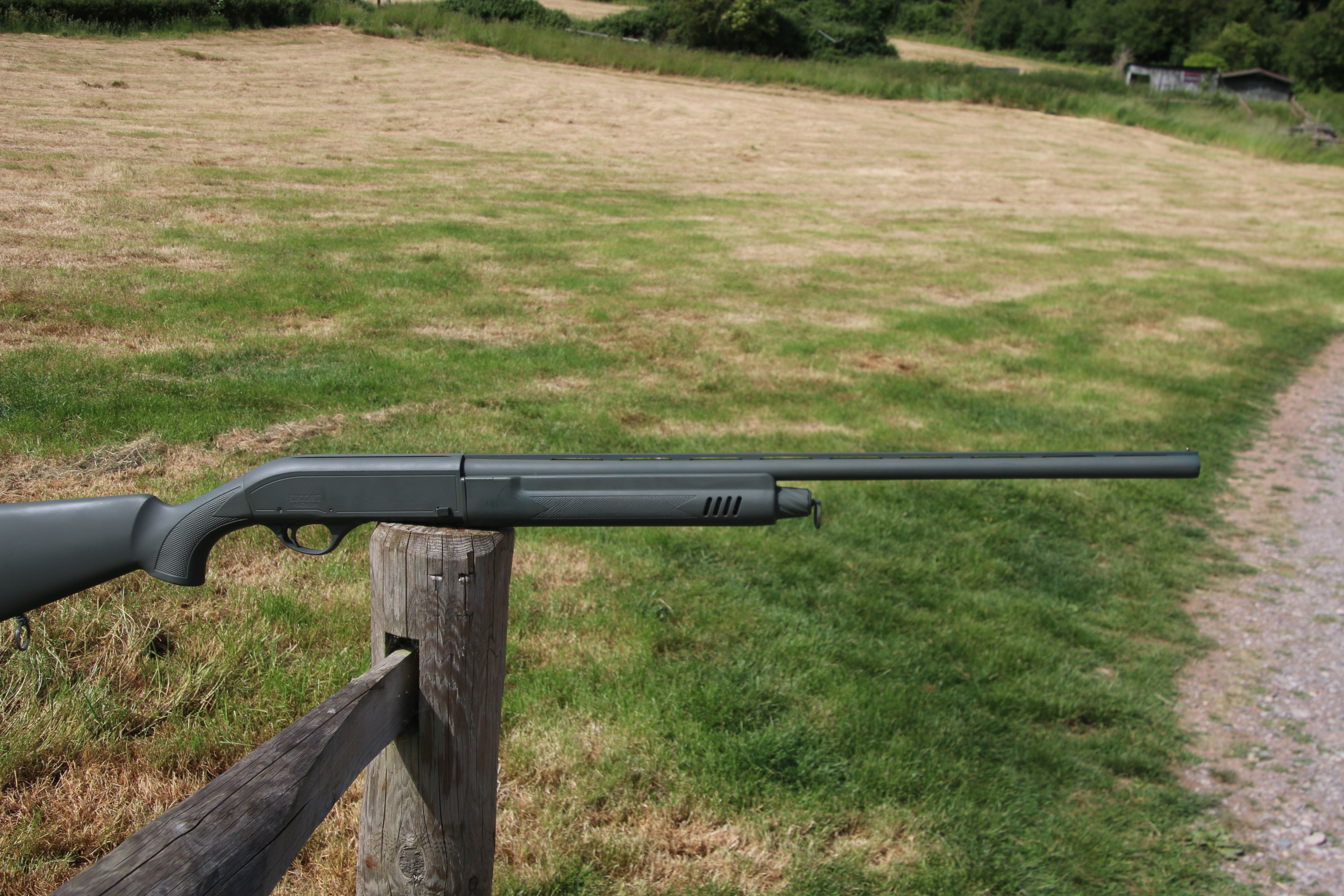 Hatsan Arms Escort