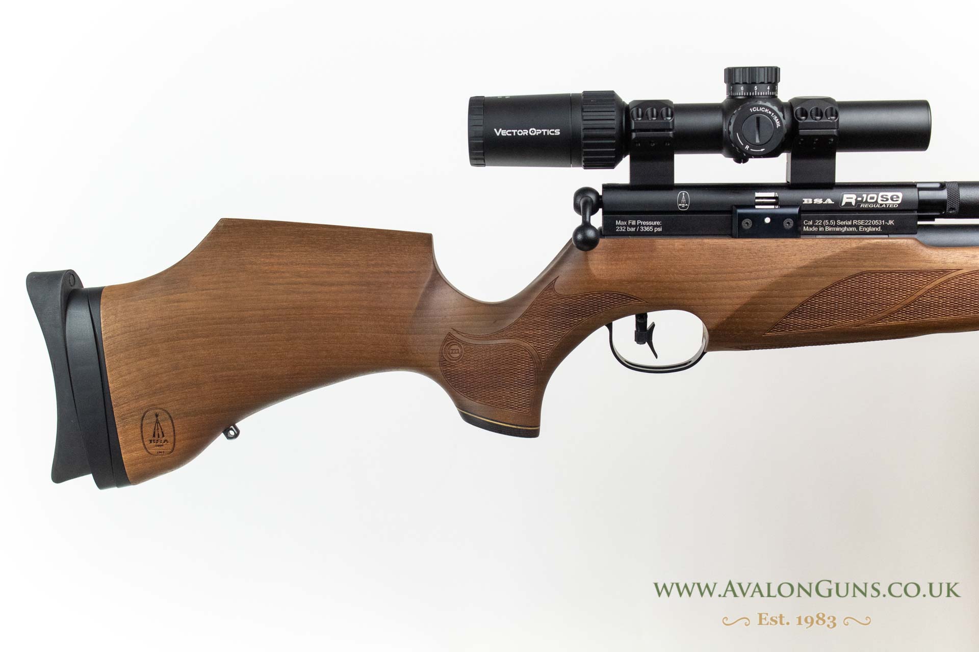 BSA R10