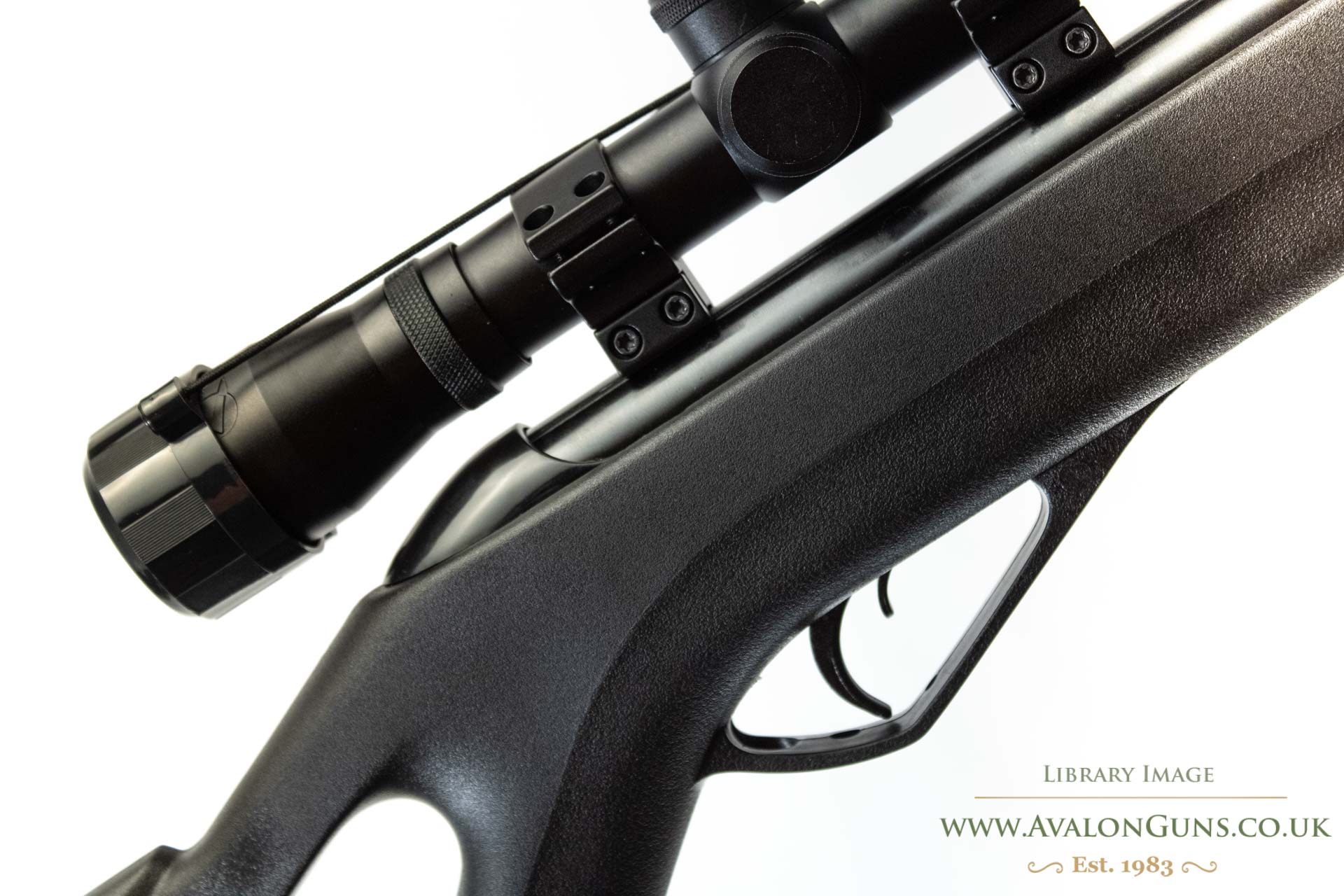 Gamo Whisper