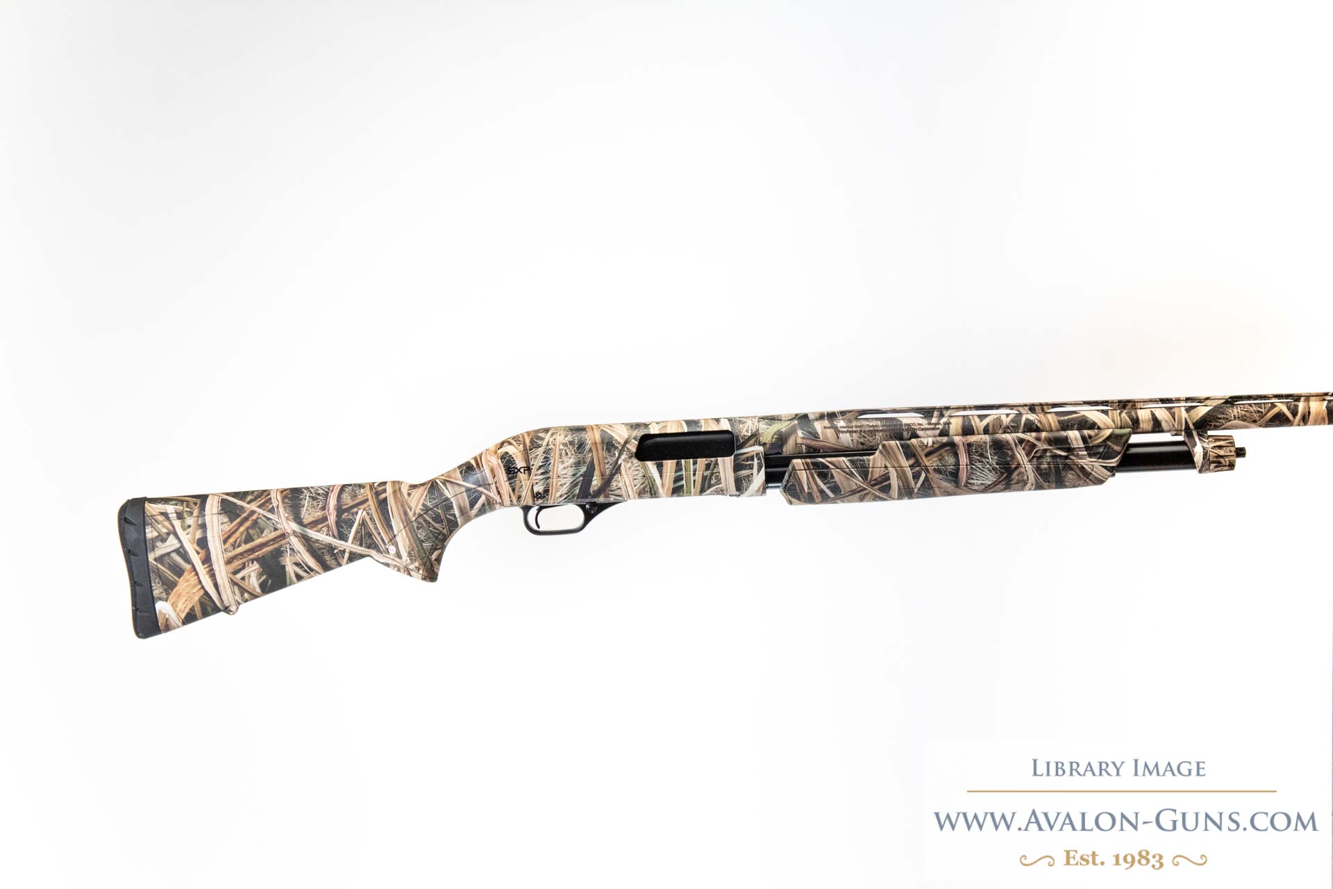 Winchester SXP