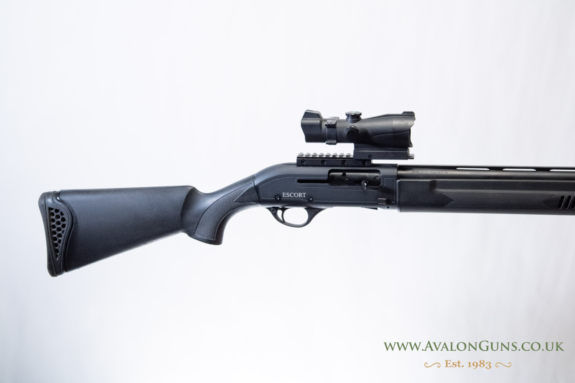 Hatsan Arms Escort