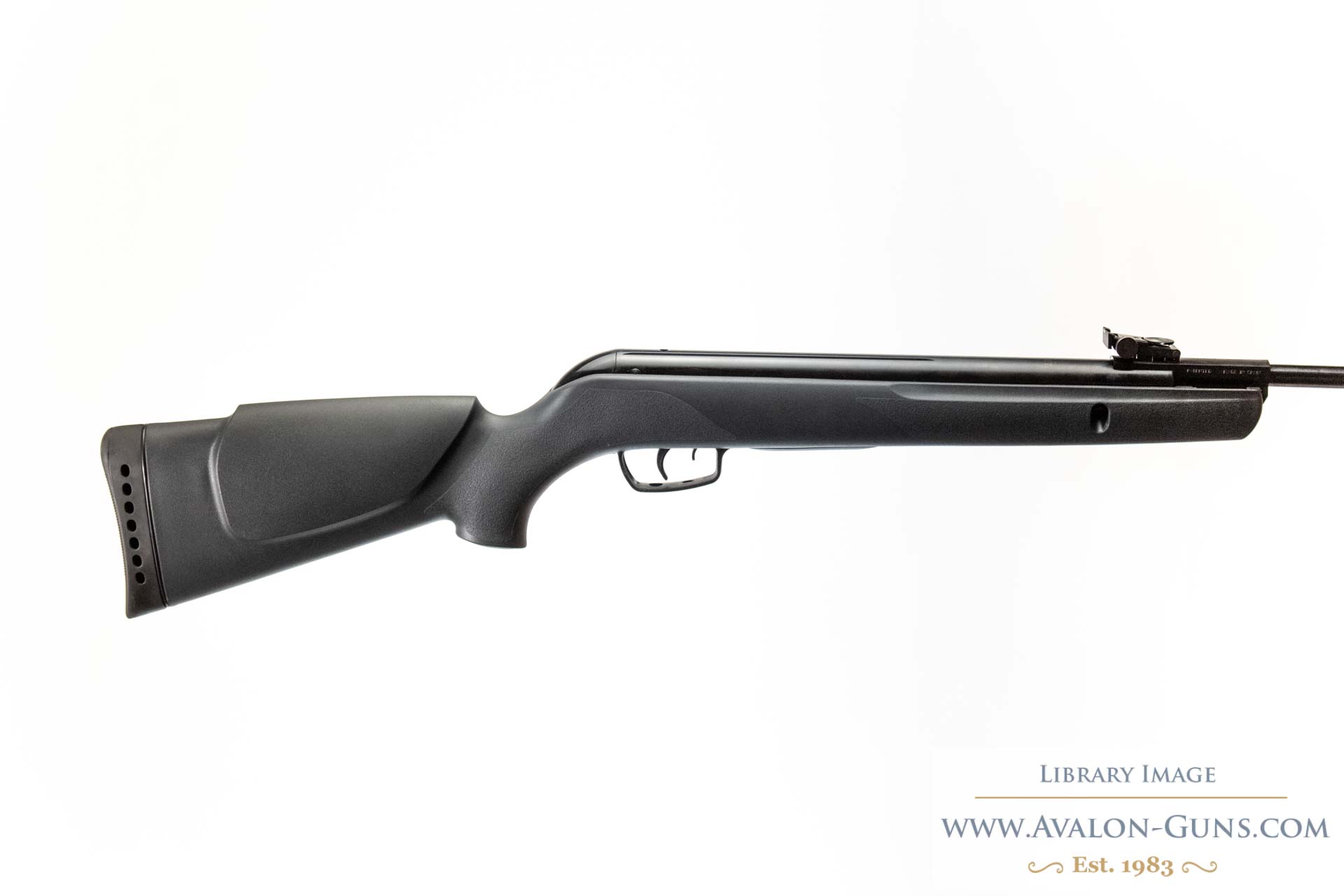 Gamo Hornet