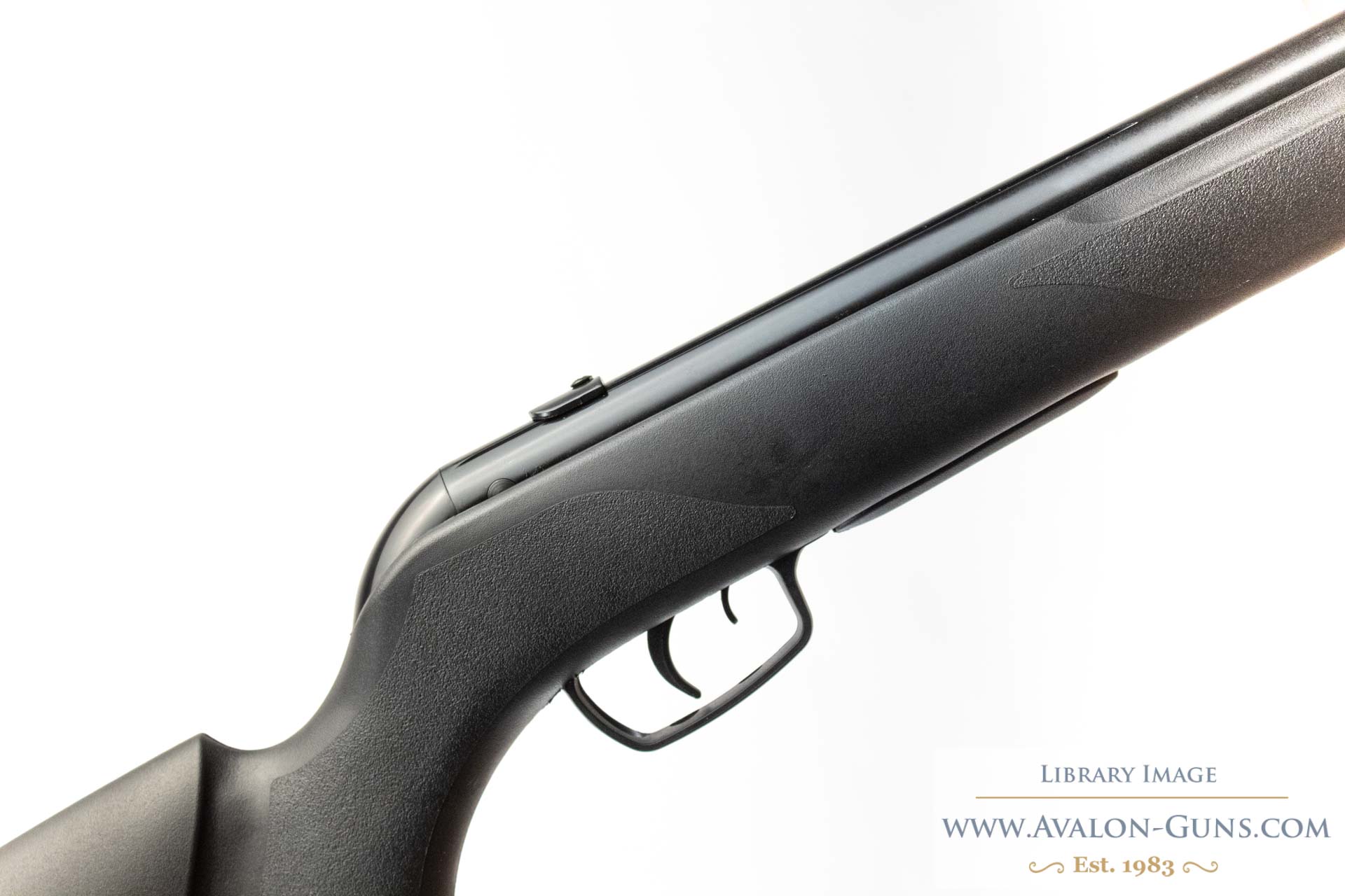Gamo Whisper